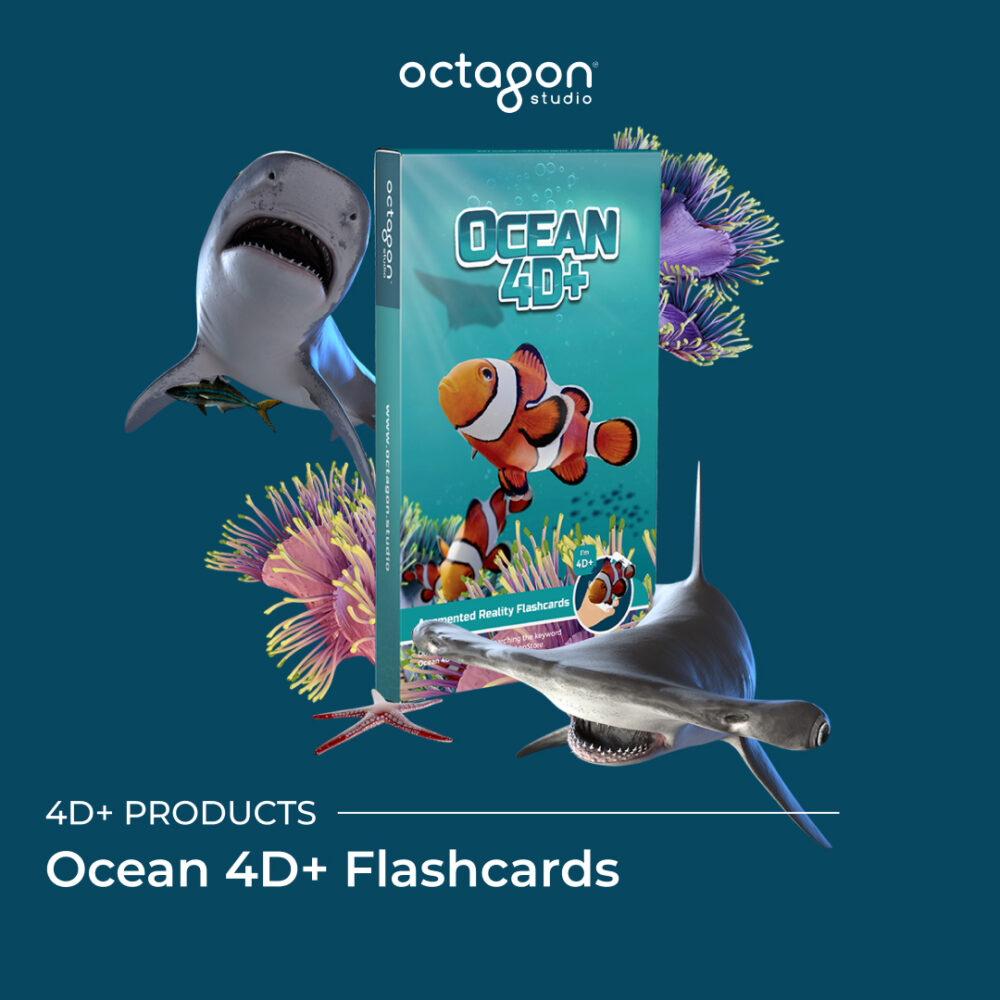 Ocean 4D+ Flashcards