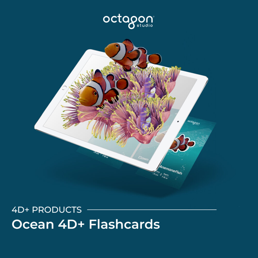 Ocean 4D+ Flashcards - Image 2