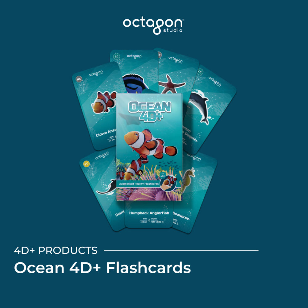 Ocean 4D+ Flashcards - Image 3